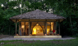 rubondo-island-camp-guest-chalets-at-night
