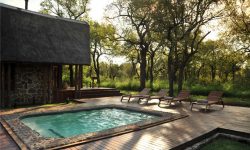 swimming-pool