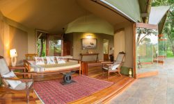 salas-camp-tent-4-1