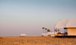 san-camp-2
