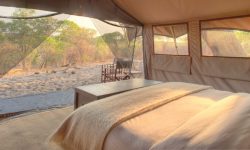 Savute_under_canva_tent6.jpg