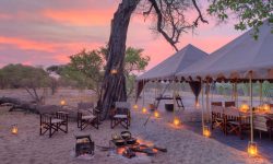Savute_under_canvas_guestarea2.jpg