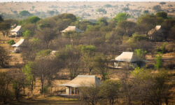 sayari-camp-tent-layout