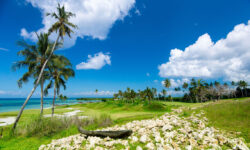 seacliff-zanzibar-2015-kdbphigh-res-153