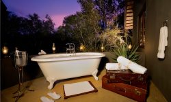 Selati LM Suite (1)