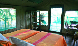 selousimpalafamilytentkidsroom2