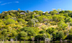 singita-pamushana-lodge-1