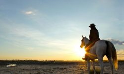 sun-set-ride