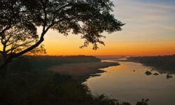 sunrise-from-chilo-gorge-safari-lodge