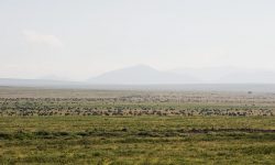 twc10_0800