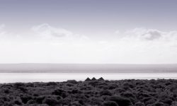 twc_0463bw