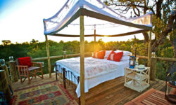 tanda-tula-star-beds_3