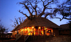 Tarangire Treetop by night