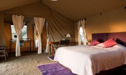 tent-interior