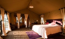 tent-interior