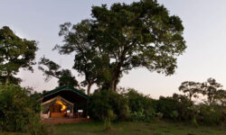 tent_-_gc_lr