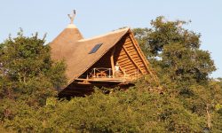 tongole-main-building-10
