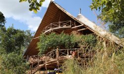 tongole-main-building-21