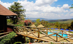 view_over_swimmingpool