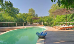 Swimming pool at Lake Manyara Tree Lodge