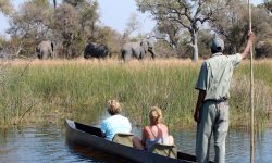 boating-mekoro-4