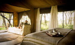 Guest relaxing in the Tent at Dunia Camp