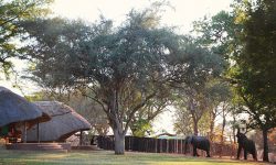 ff0259_imbabala_safari_lodge_zimbabwe