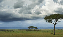 View from Singita Mara River Tented Camp