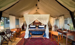 great-plains-duba-expedition-8
