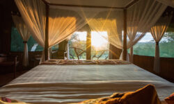 interiorsunrise