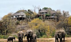 Lodge overlooking Elephants at a waterhole