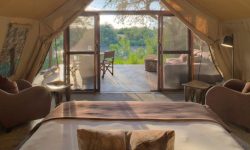 View from inside the Tent