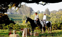 Horse Riding to Picnic at The Manor at Ngorongoro