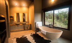 Rhino Ridge Safari Lodge (Umfolozi game Reserve)