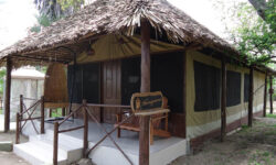 selous-mbuyu-honey-moon-tent