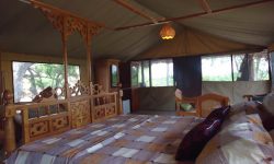 selous-mbuyu-honey-moon-tent-3