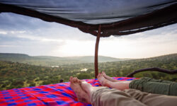starbeds-1