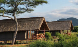 Tents at Tarangire Simba Lodge