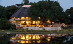willbl-chongwe-30