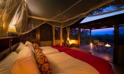 Busanga Bush Camp 4