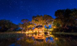 Jacana_2014-06-12e