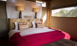Kalahari_2015-03-10e