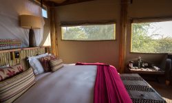 Kalahari_2015-03-11e