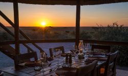 Kalahari_2015-03-17e