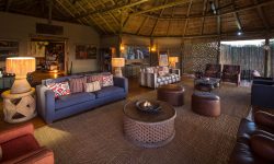 Kalahari_2015-03-25e