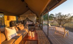 Linkwasha Camp 2