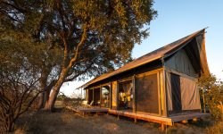 Linkwasha Camp 4