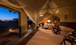 Linkwasha Camp 6