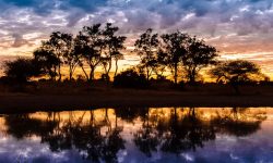 Lt MomWildernessSafaris20