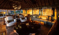 Mombo WildernessSafaris-03e